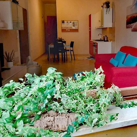Brisa Marina Apartment Alghero Exterior photo